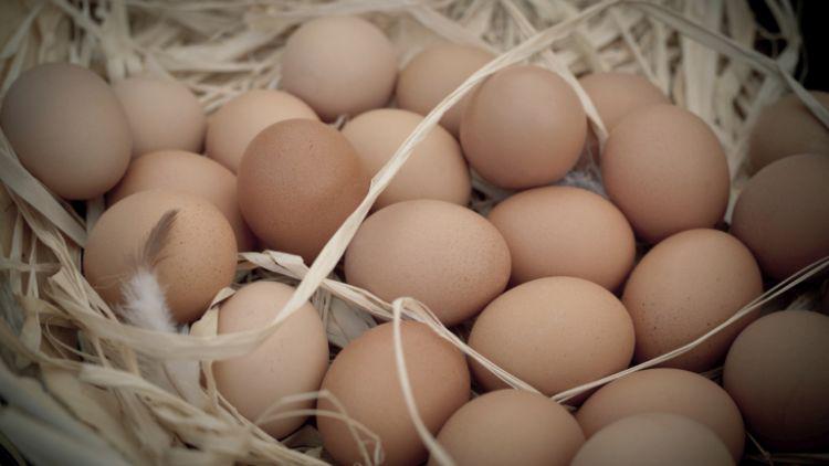 цена на яйцата днес