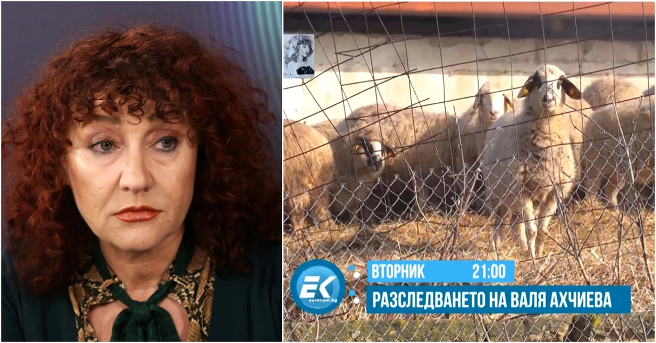 Европрокуратурата разследва виртуалните овце на България. Тя иззе от Прокуратурата