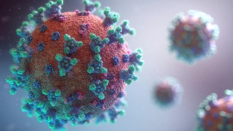 123 са новозаразените с коронавирус у нас през последното денонощие
