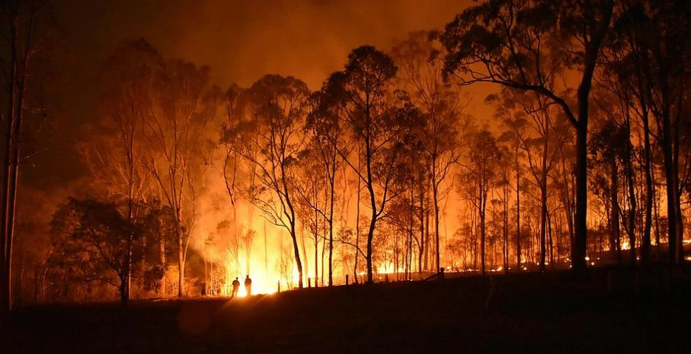 Голям пожар пламна в гориста местност в Казанлък .Огънят се