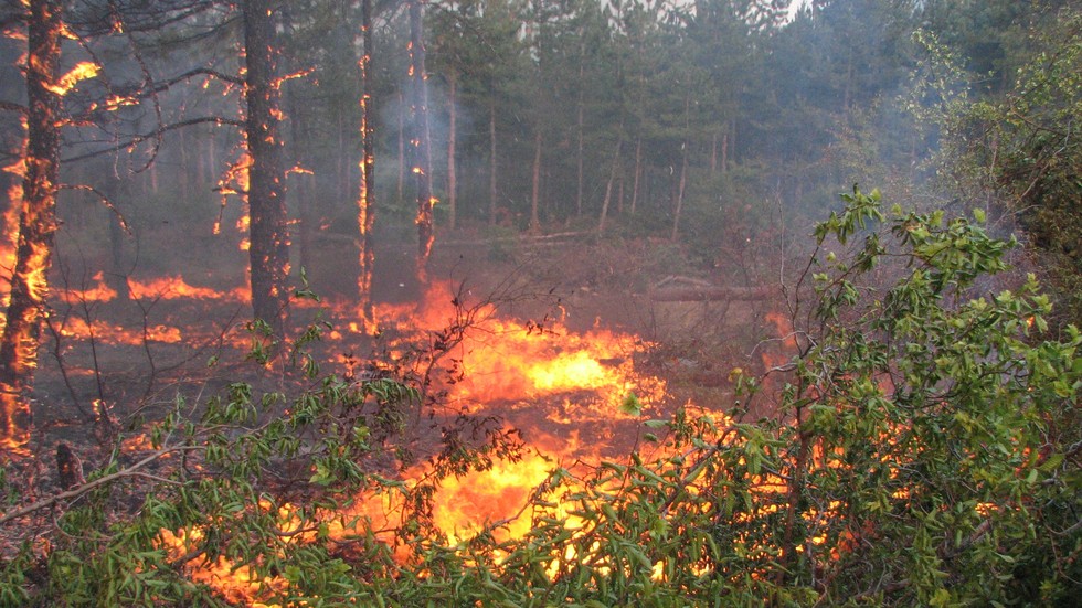 На територията на страната днес са избухнали 75 пожара, 45
