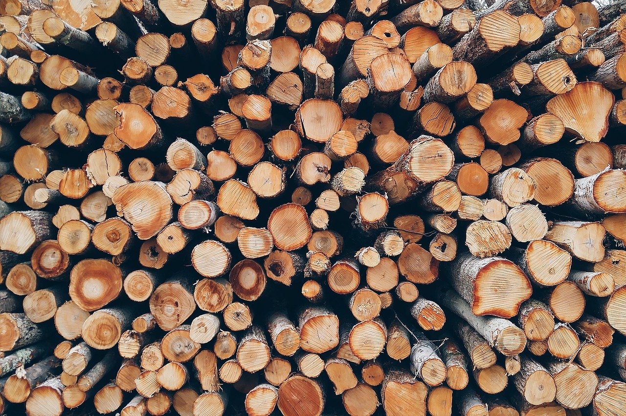 България спира износа на необработена дървесина през следващите три месеца.