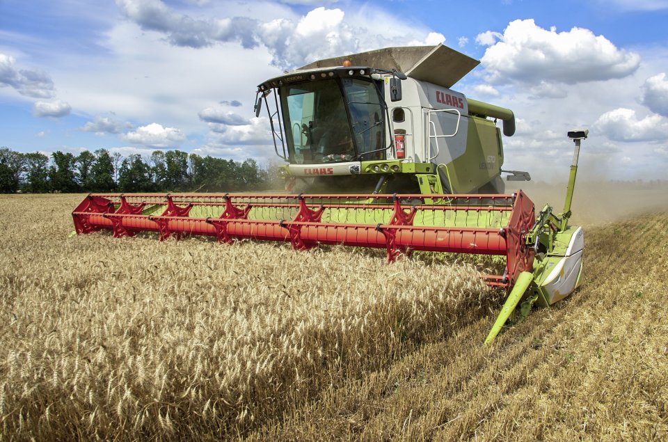 Зърнопроизводители от месеци обвиняват държавата, че не защитава по никакъв