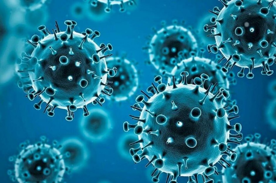 153 са новите случаи на коронавирус у нас, сочат данните
