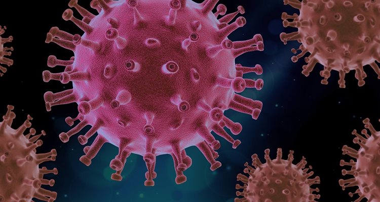 Новите случаи на коронавирус у нас са 137,сочат данните на