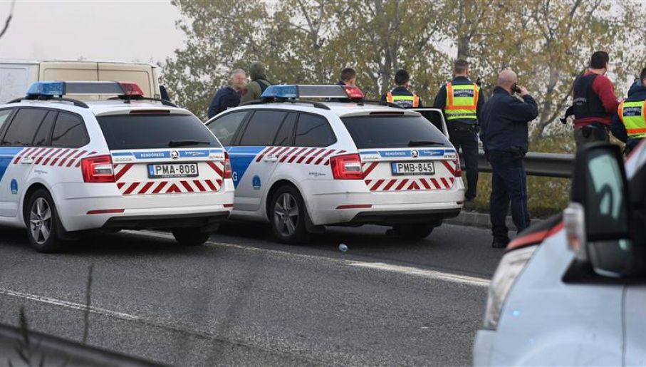 Трима полицаи в унгарската столица бяха намушкани от въоръжен с