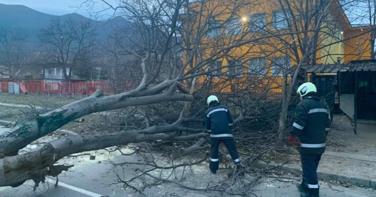 Частично бедствено положение обявиха във Враца. Причината е ураганният вятър,