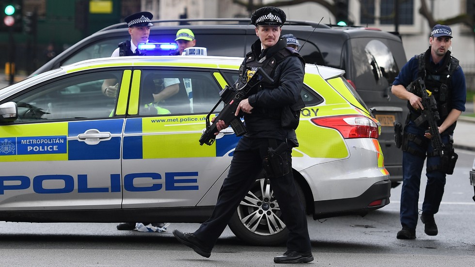 Полицията на Лондон е институционално расистка, женомразка и хомофобскаи силите