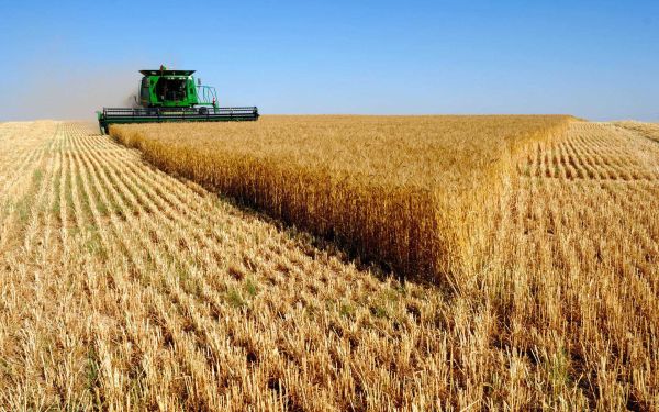 Снимка: АЗПБ: България да не подкрепя либерализираната търговия със селскостопански стоки от Украйна