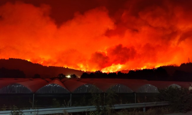 „Огнената стихия в Гърция беше голяма. Гръцката пожарна е изключително