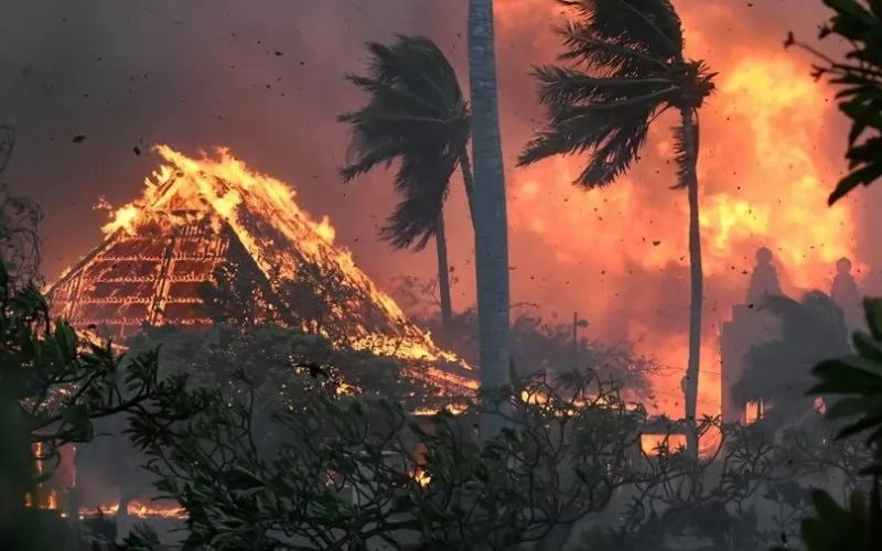 Нов пожар, тръгнал от храсти, на хавайския остров Мауи изпепели
