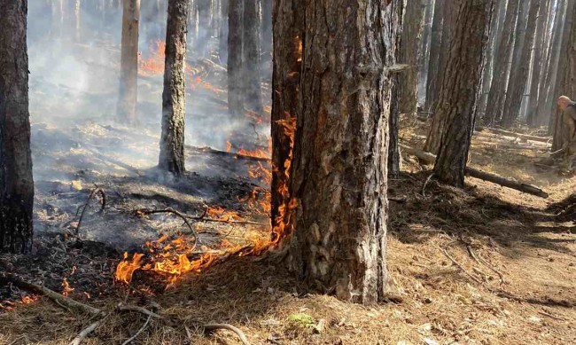 Заради огромен пожар Община Чепеларе обяви частично бедствено положение. То