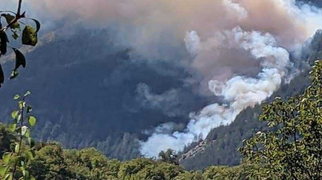 Пожарът в Родопите, близо до село Хвойна, е локализиран. Все