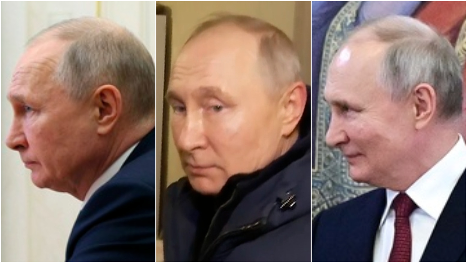 Японски изследователи твърдят, че руският президент Владимир Путин е използвал