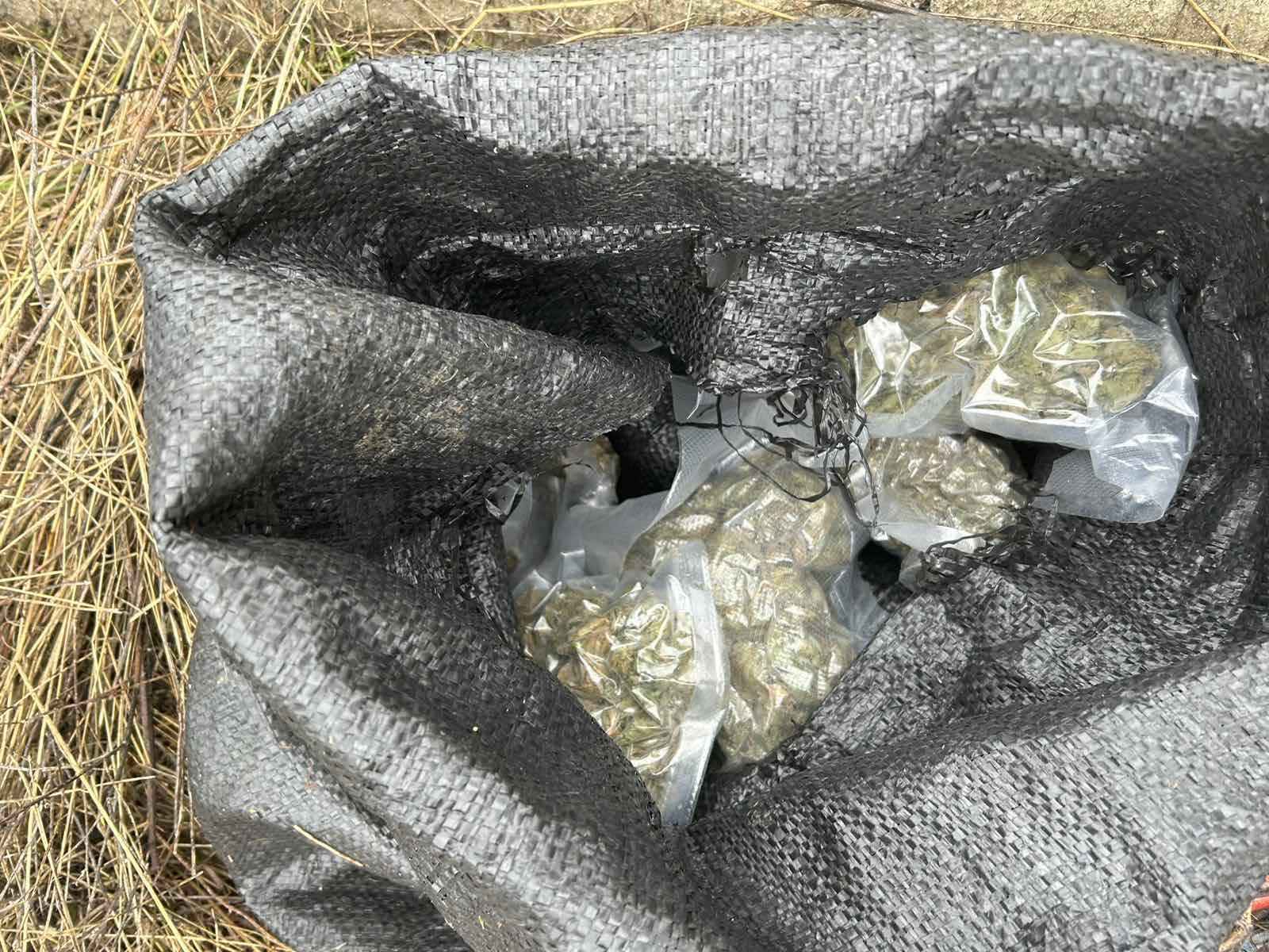 Полицейски служители разкриха домашна оранжерия за отглеждане на марихуана. Спецоперацията