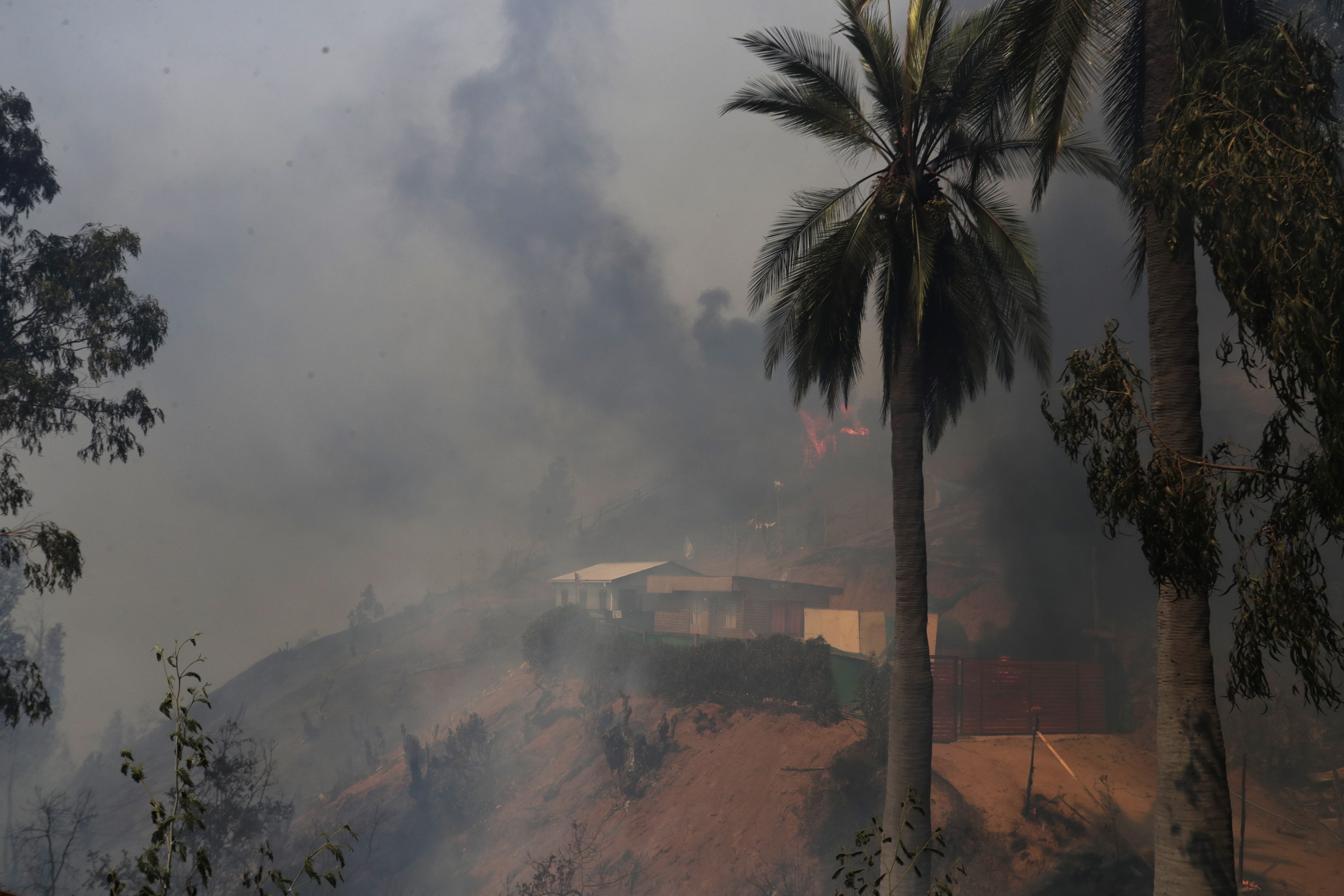 Горските пожари, които бушуват в централната част на Чили, са