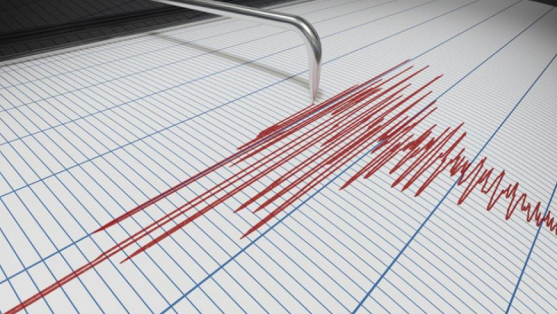 Земетресение с магнитуд 5 по японската скала 1–7 беше регистрирано