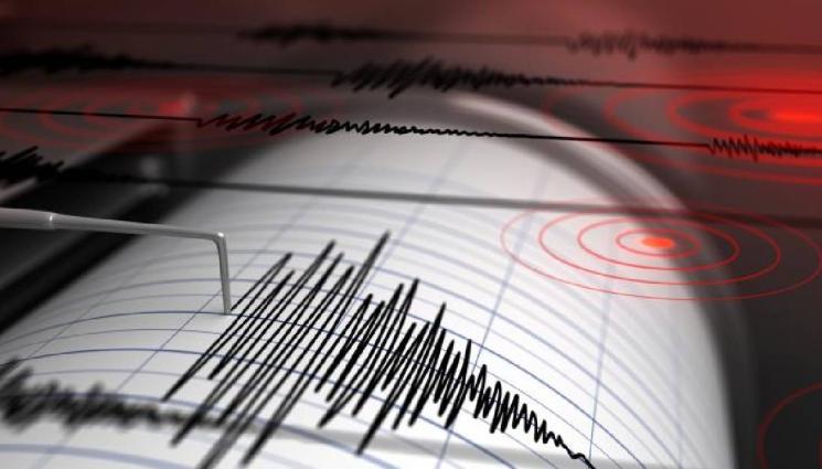 Земетресение с магнитуд 3.8 е регистрирано в Родопите. Това показва