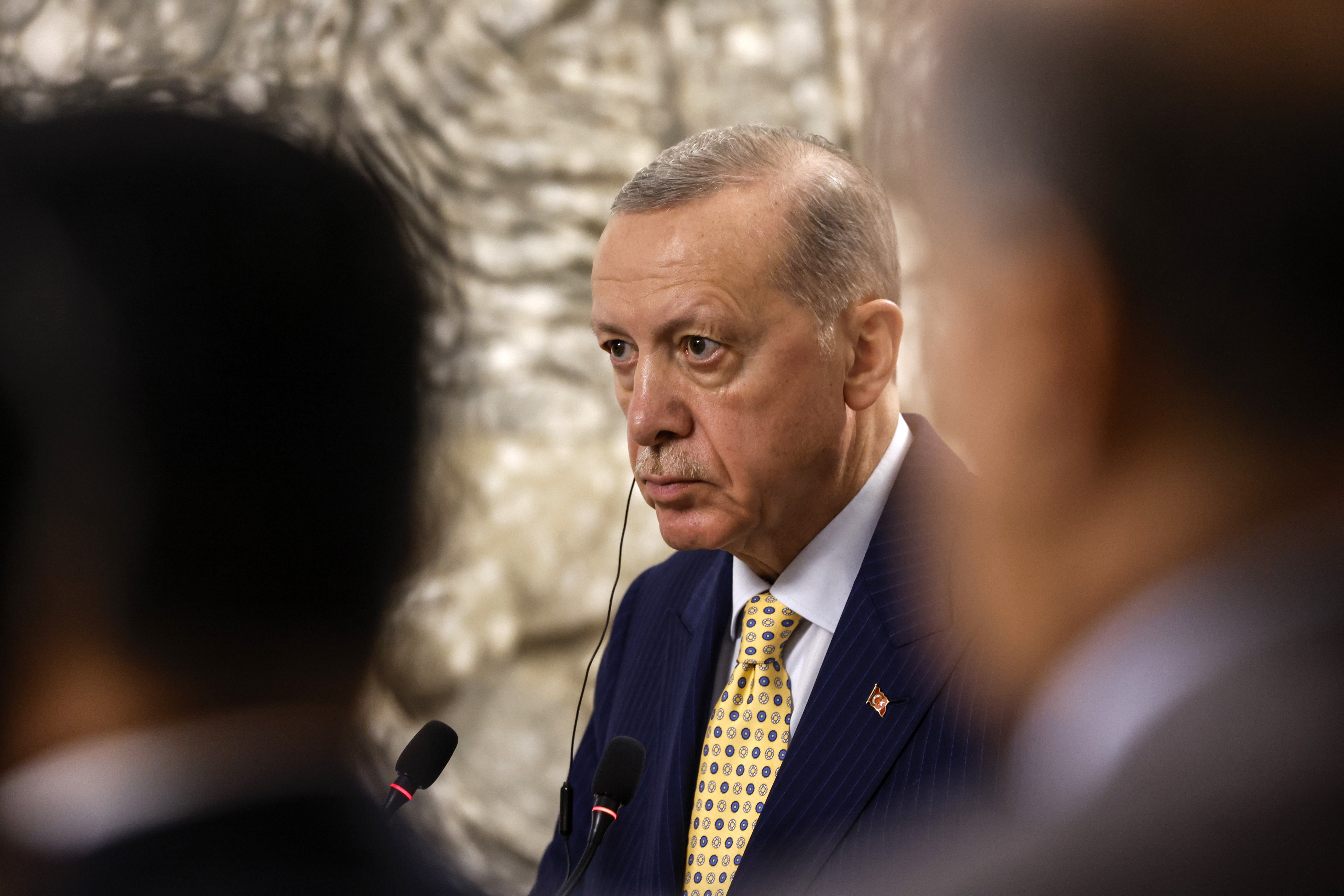 Турският президент Реджеп Ердоган заяви днес, че Турция ще „продължи