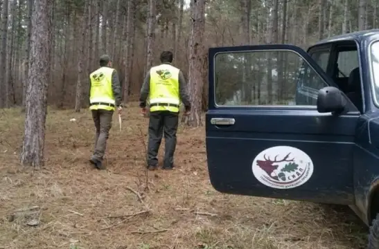 Повече от 6400 проверки са реализирали държавните горски предприятия и