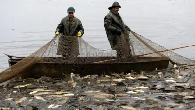Временно да бъде забранен риболовът в Черно море предвид минната