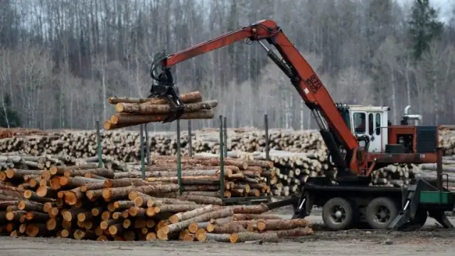 Дърводобивни и преработвателни фирми от благоевградска област излизат на протест