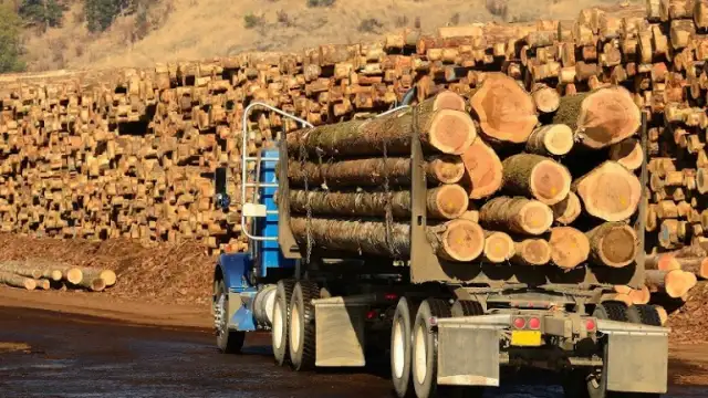 Износът на необработен дървен материал от Руската федерация през първото