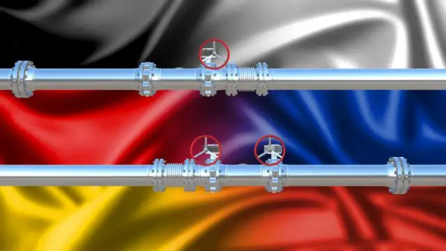 Германските власти решиха да подкрепят налагането на ембарго върху руския