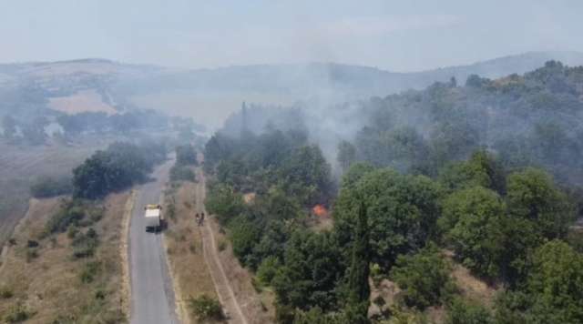 СНИМКА БНТГолям пожар бушува във вилната зона на бургаското село Изворище Огънят