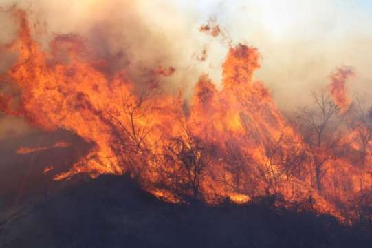 Три пожара избухнаха в Бургаско съобщи говорителят на Областната дирекция
