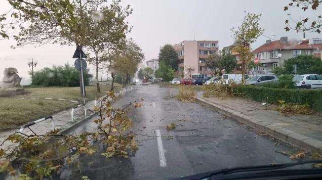 След ураганния вятър в района на Бургас продължава разчистването на