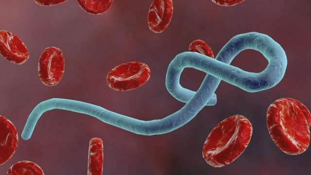 Шест нови случая на ебола бяха регистрирани в Уганда предадоха световните агенции