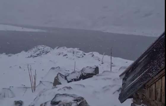 Първият сняг за този зимен сезон заваля над заслона Тевно езеро съобщи Метео Балканс То