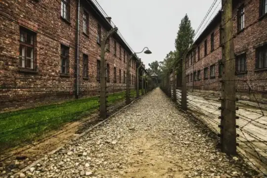 Светът отбелязва Международния ден за възпоменание на жертвите на Холокоста и 78