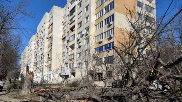 Община Варна започна поетапна подмяна на скъсаните от силния вятър