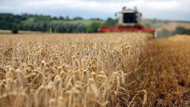 Зърнопроизводители в България са в протестна готовност заради кризата с