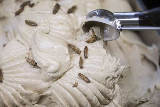 Германски салон за сладолед разшири менюто си с предложение което
