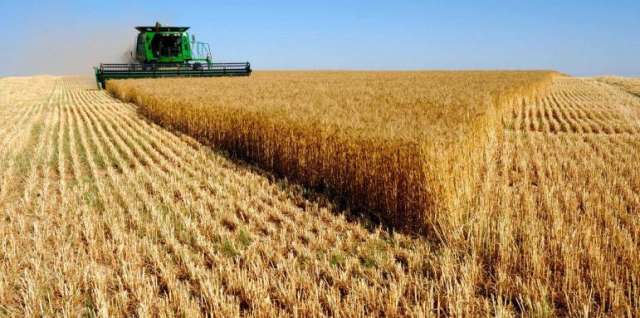 От днес Националната асоциация на зърнопроизводителите започва тридневен протест на