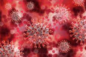 170 новозаразени с коронавирус през последното денонощие в България Починали са