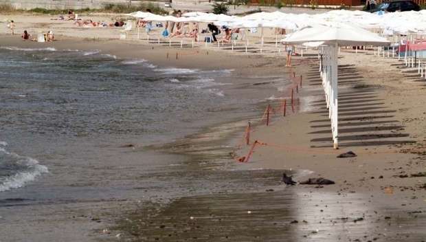 Намериха тяло във водите край Южния плаж във Варна съобщиха