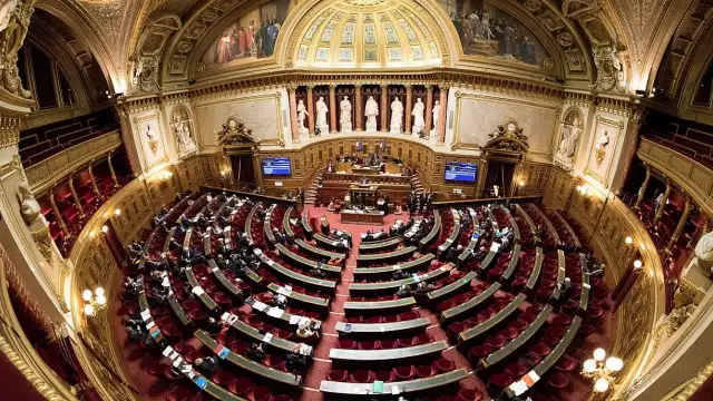 Френският Сенат гласува в подкрепа на възстановяването на ограбените от