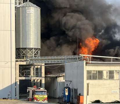 Голям пожар пламна в завода за храни и фуражи за