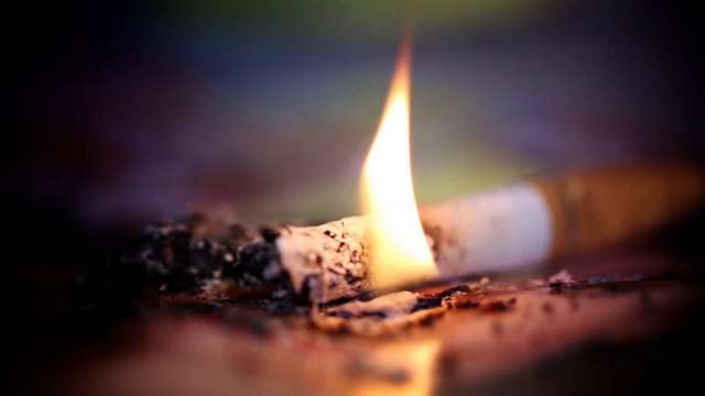 Изхвърлена край пътя незагасена цигара е най вероятната причина за пожара