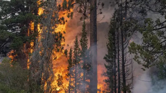 Вече четвърти ден в страната горят големи пожари като най опасните