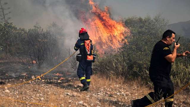 От 18 юли насам ЕС е предоставил над 490 пожарникари