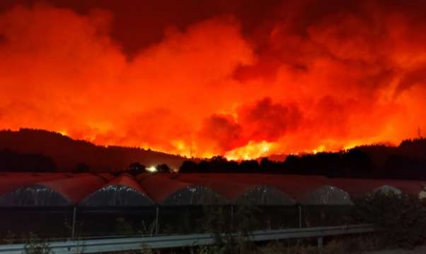 Огнената стихия в Гърция беше голяма Гръцката пожарна е изключително