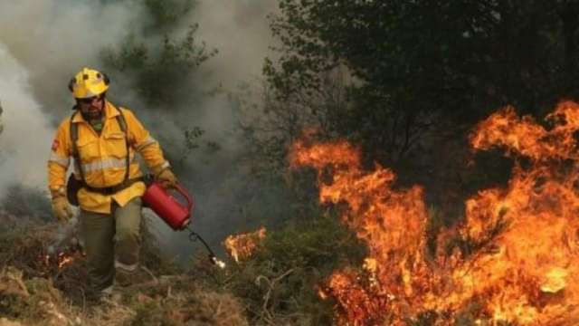 Пламна боровата гора край Хисаря съобщиха от Регионална дирекция Пожарна