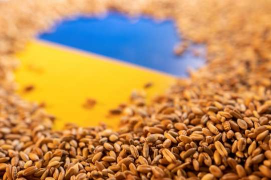 Депутатите решиха да свалят забраната за внос на пшеница от