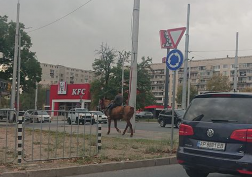 Куриозна гледка изненада шофьори на кръгово кръстовище Дете на кон