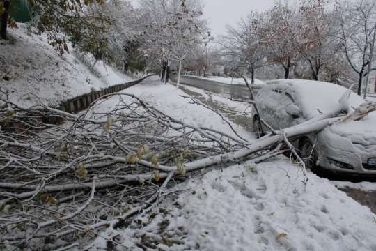 Общо 32 села в област Сливен са без ток Това